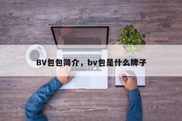 BV包包简介，bv包是什么牌子