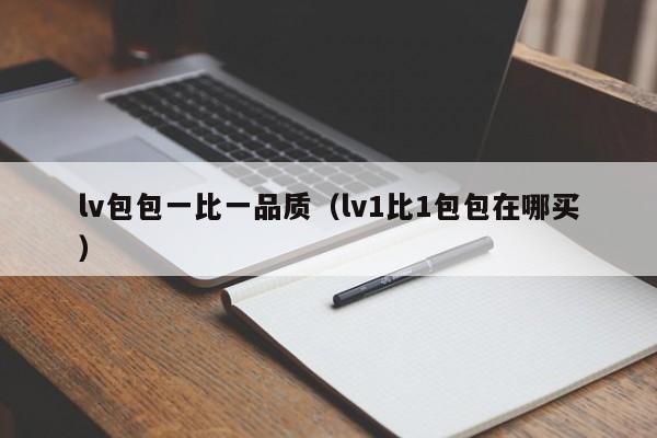 lv包包一比一品质（lv1比1包包在哪买）