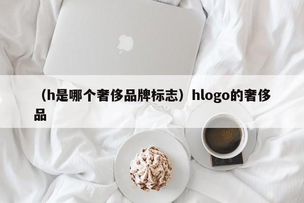 （h是哪个奢侈品牌标志）hlogo的奢侈品