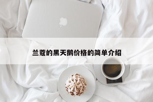 兰蔻的黑天鹅价格的简单介绍