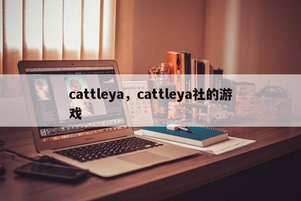 cattleya，cattleya社的游戏