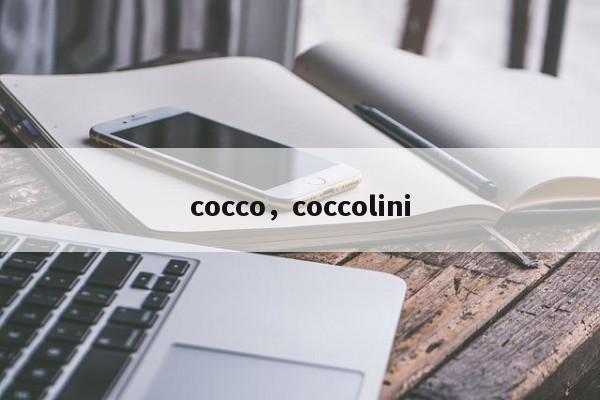 cocco，coccolini