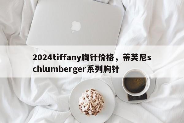 2024tiffany胸针价格，蒂芙尼schlumberger系列胸针