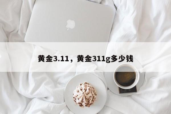 黄金3.11，黄金311g多少钱