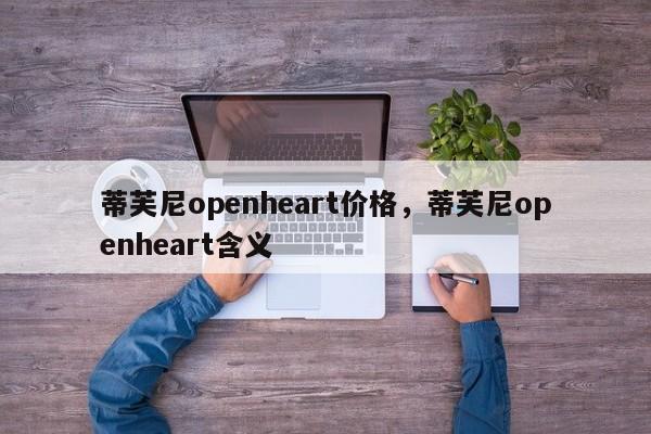 蒂芙尼openheart价格，蒂芙尼openheart含义