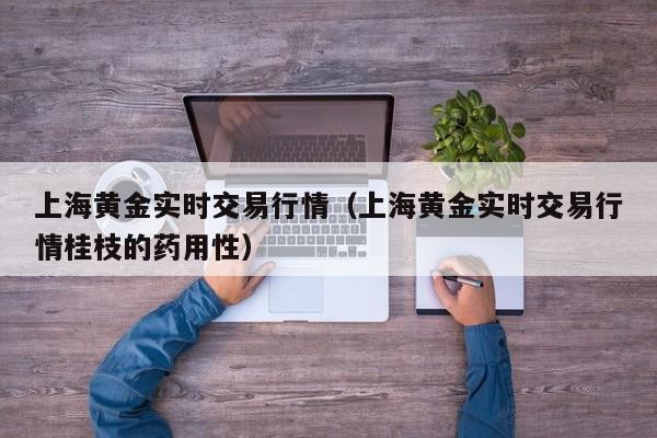 上海黄金实时交易行情（上海黄金实时交易行情桂枝的药用性）