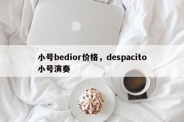 小号bedior价格，despacito小号演奏