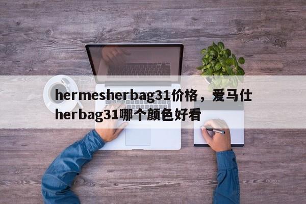 hermesherbag31价格，爱马仕herbag31哪个颜色好看