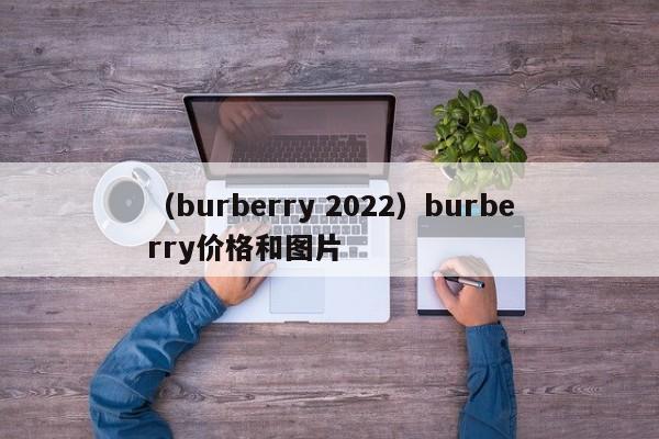 （burberry 2022）burberry价格和图片