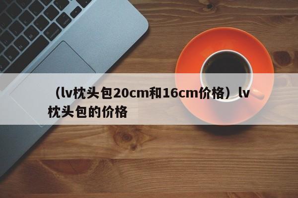 （lv枕头包20cm和16cm价格）lv枕头包的价格