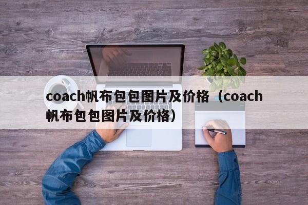 coach帆布包包图片及价格（coach帆布包包图片及价格）