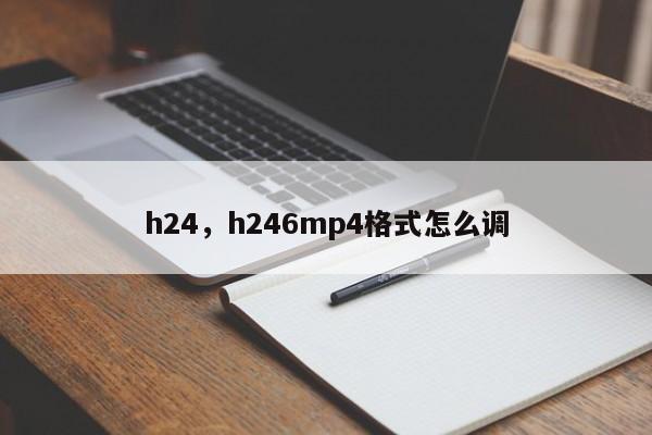 h24，h246mp4格式怎么调