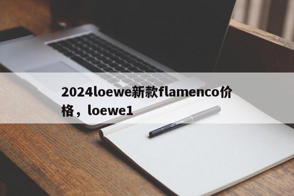 2024loewe新款flamenco价格，loewe1