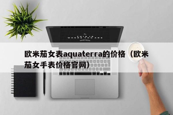 欧米茄女表aquaterra的价格（欧米茄女手表价格官网）